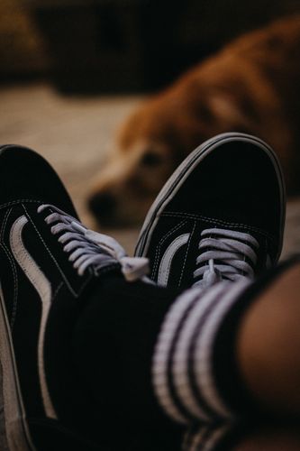 Billige herresneakers 7